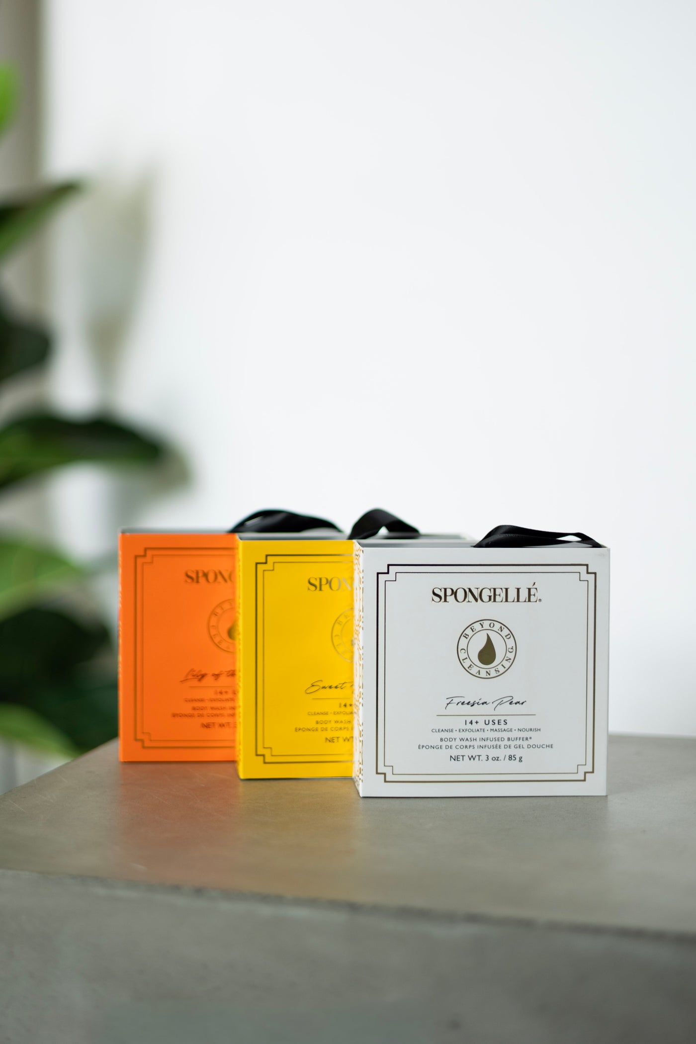 Daisy Collection Boxed Flower Body Buffer