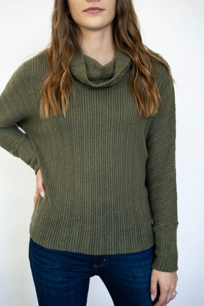 Turtle Cowl Neck Long Dolman Sleeve Top