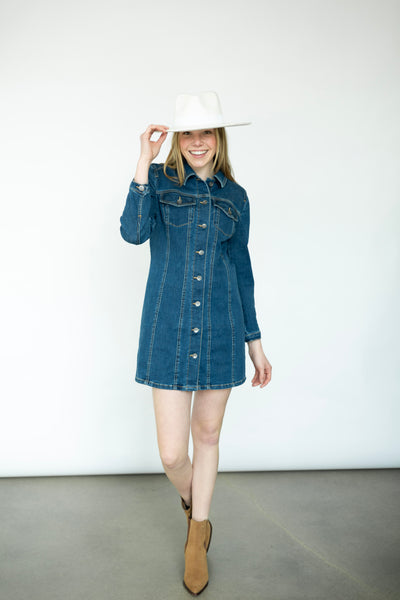 Cute, long sleeve denim dress