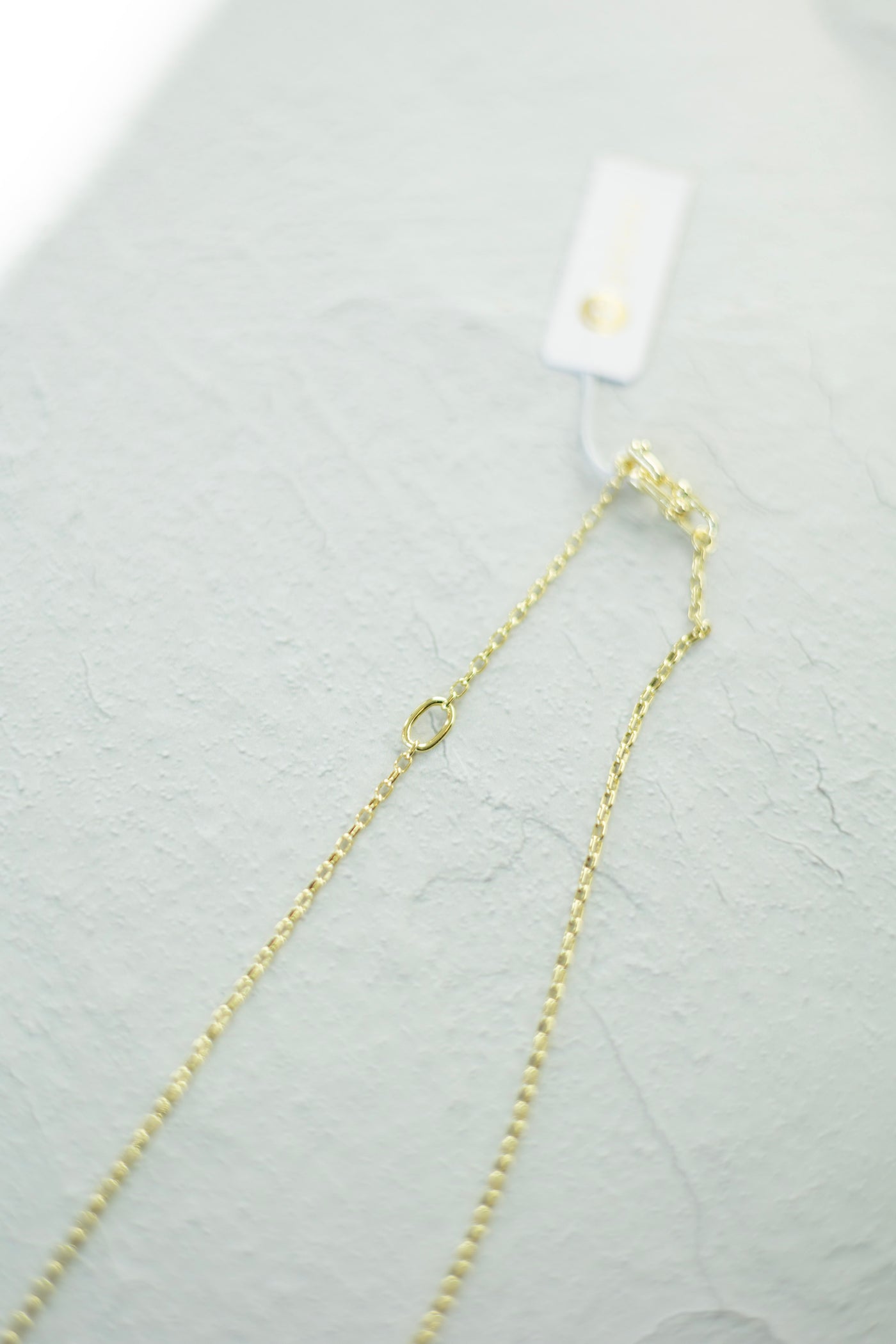 Atlas Delicate Lariat
