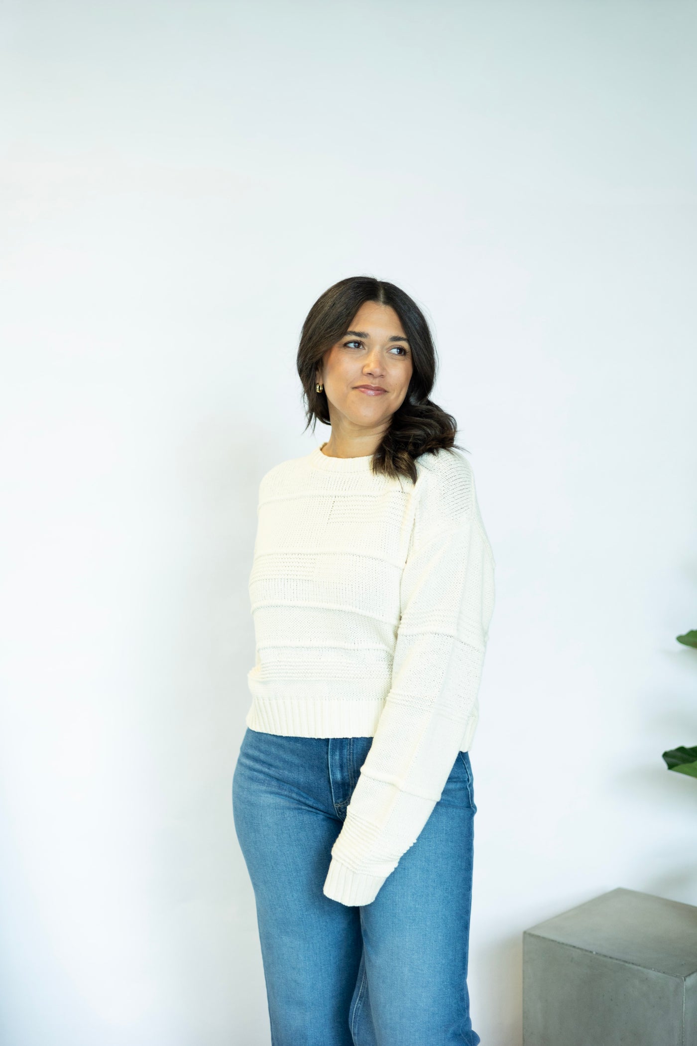 Cassi Textured Shadow Stripe Sweater