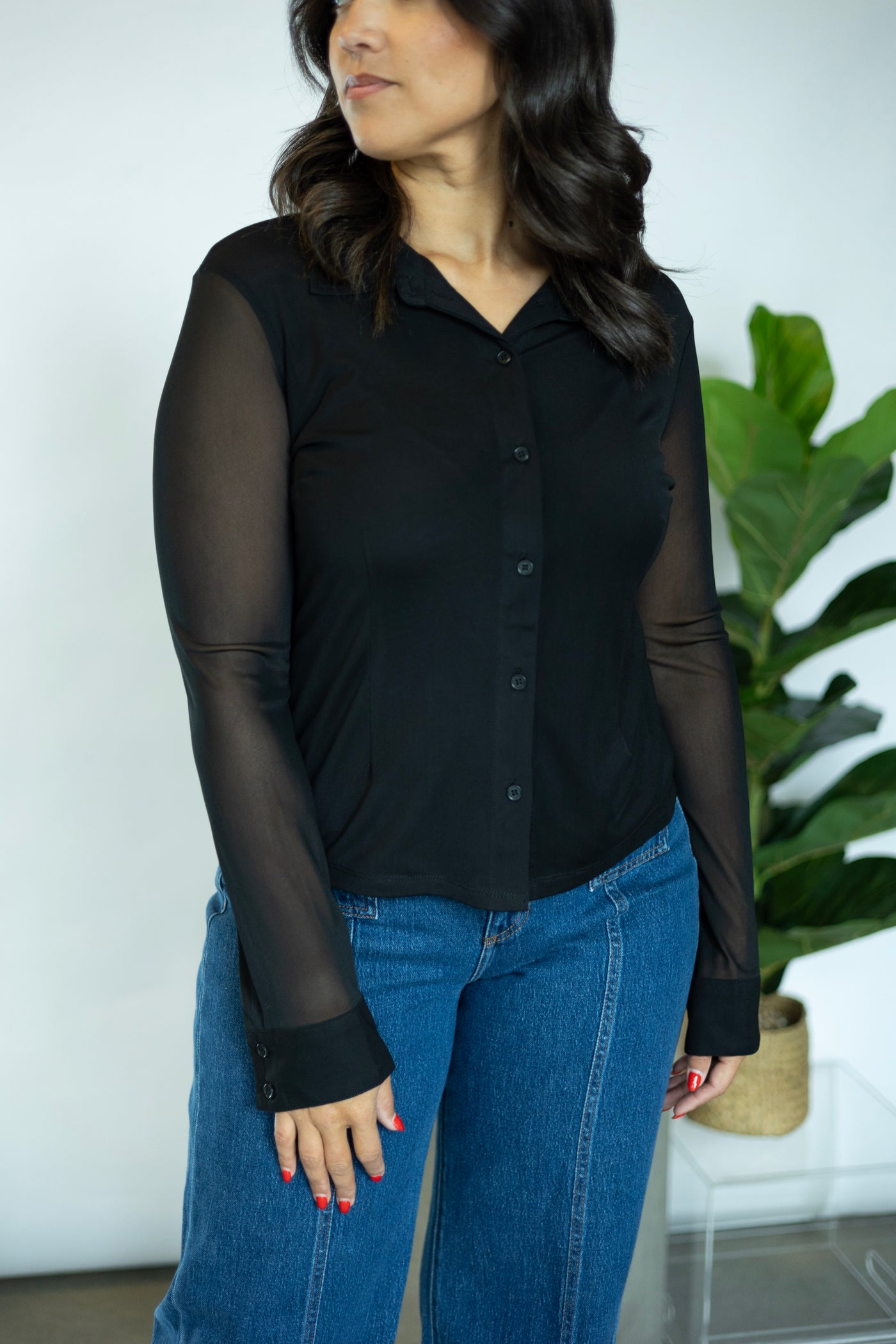 Fitted Mesh Button Down