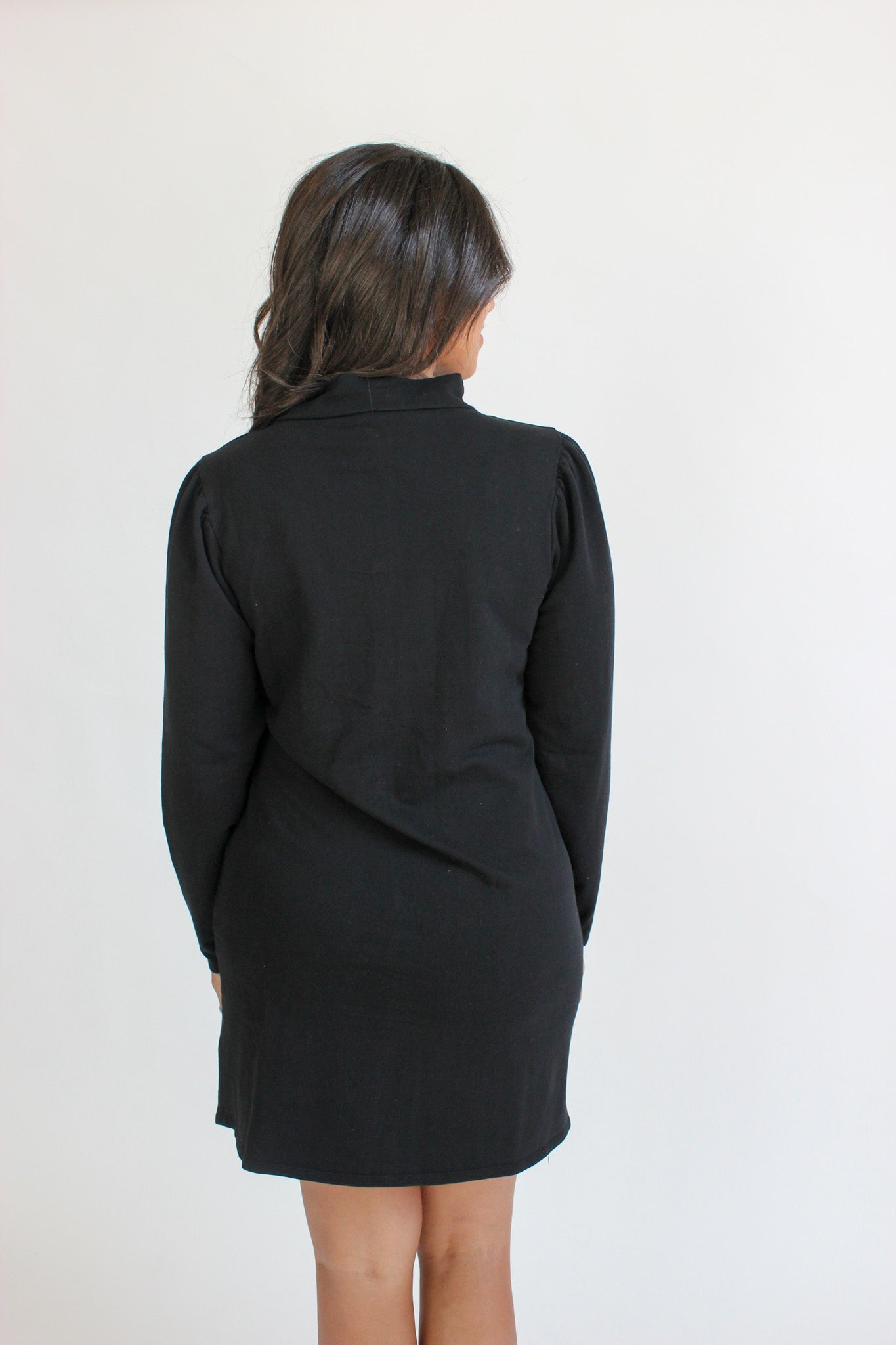 Low Mock Neck Zip Dress
